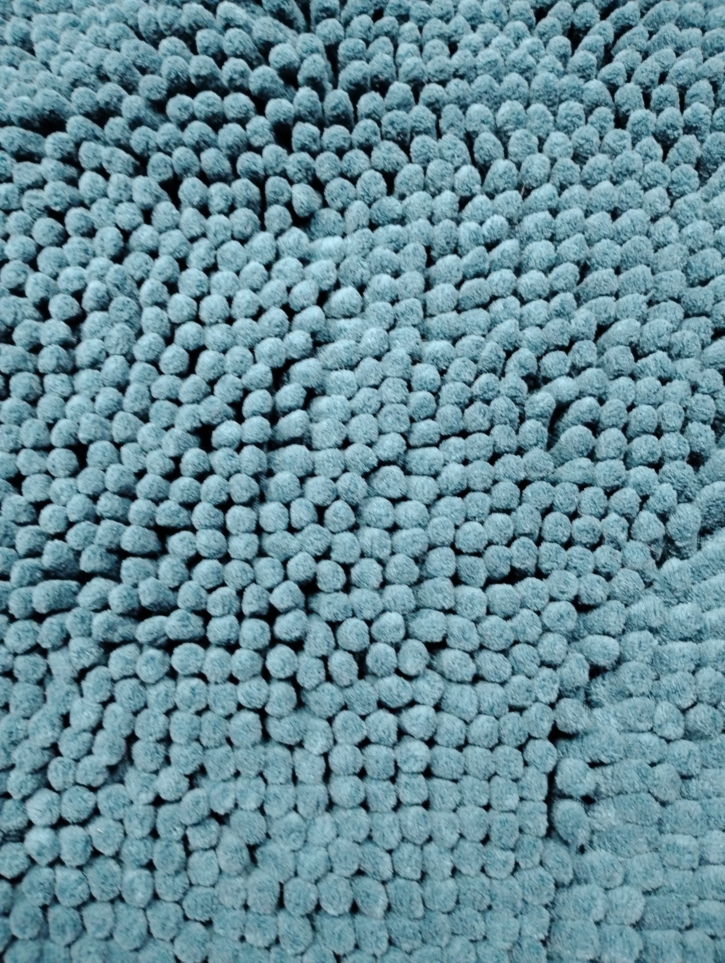 Door Muddy Mat