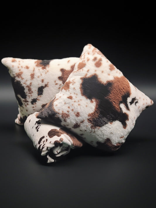 Dec. Pillows (2) matching throw blanket